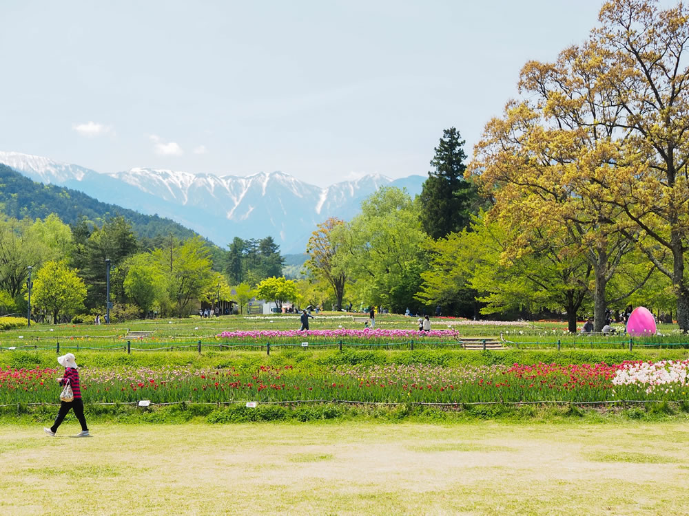 国営アルプスあずみの公園
